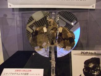 シナノトド化石の画像2