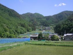 大嵩崎(おおつき)集落への画像