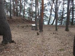 平場(ひらば)の画像