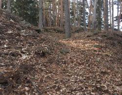 虎口(こぐち)の画像