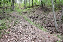 竪堀(たてぼり)の画像