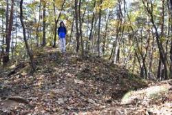 土塁(どるい)の画像