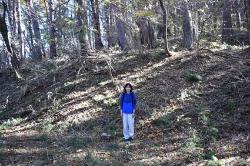 切岸(きりぎし)の画像