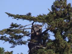 作業完了状況の画像3