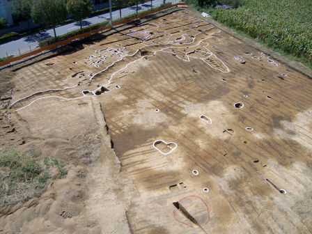 三間沢川左岸遺跡の発掘調査地（上空から）の写真