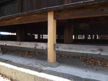 西面中央部の画像