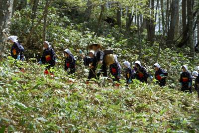 旧野麦街道の写真