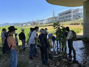女鳥羽川河川敷の植物を観察する参加者