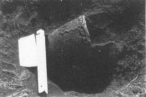 土器(深鉢)出土状況(第2次)