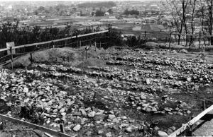 主体部(後方部中央)の葺石