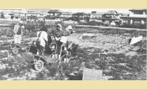 発掘風景(下の丁地籍)