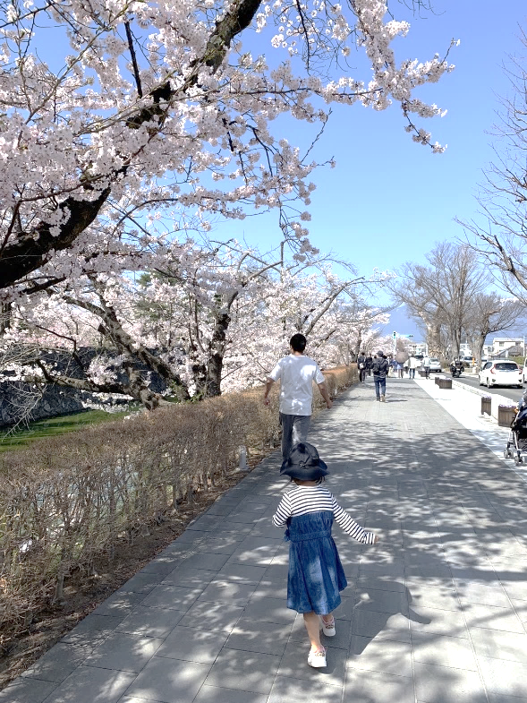 春の松本城外周