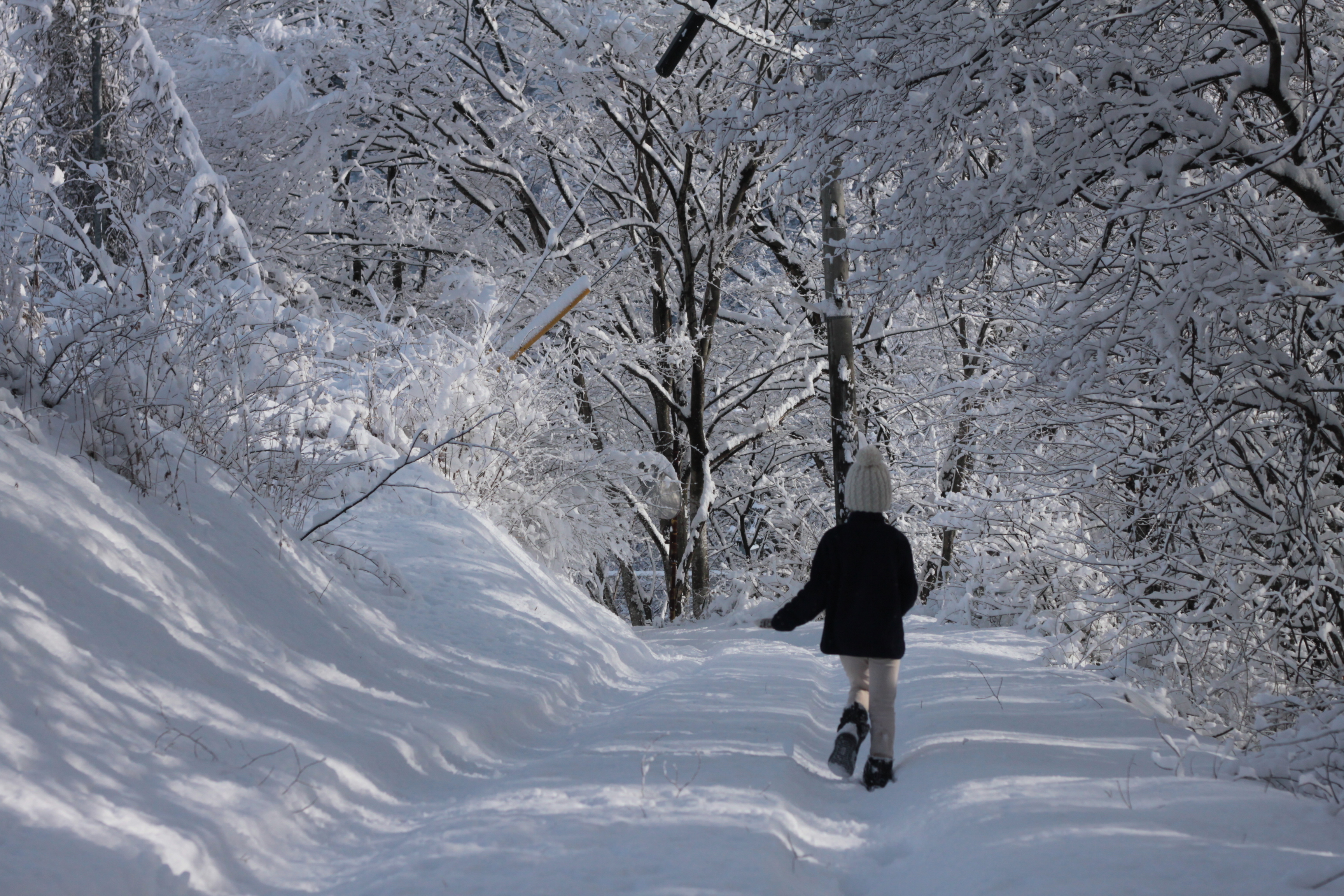冬の入山辺地区