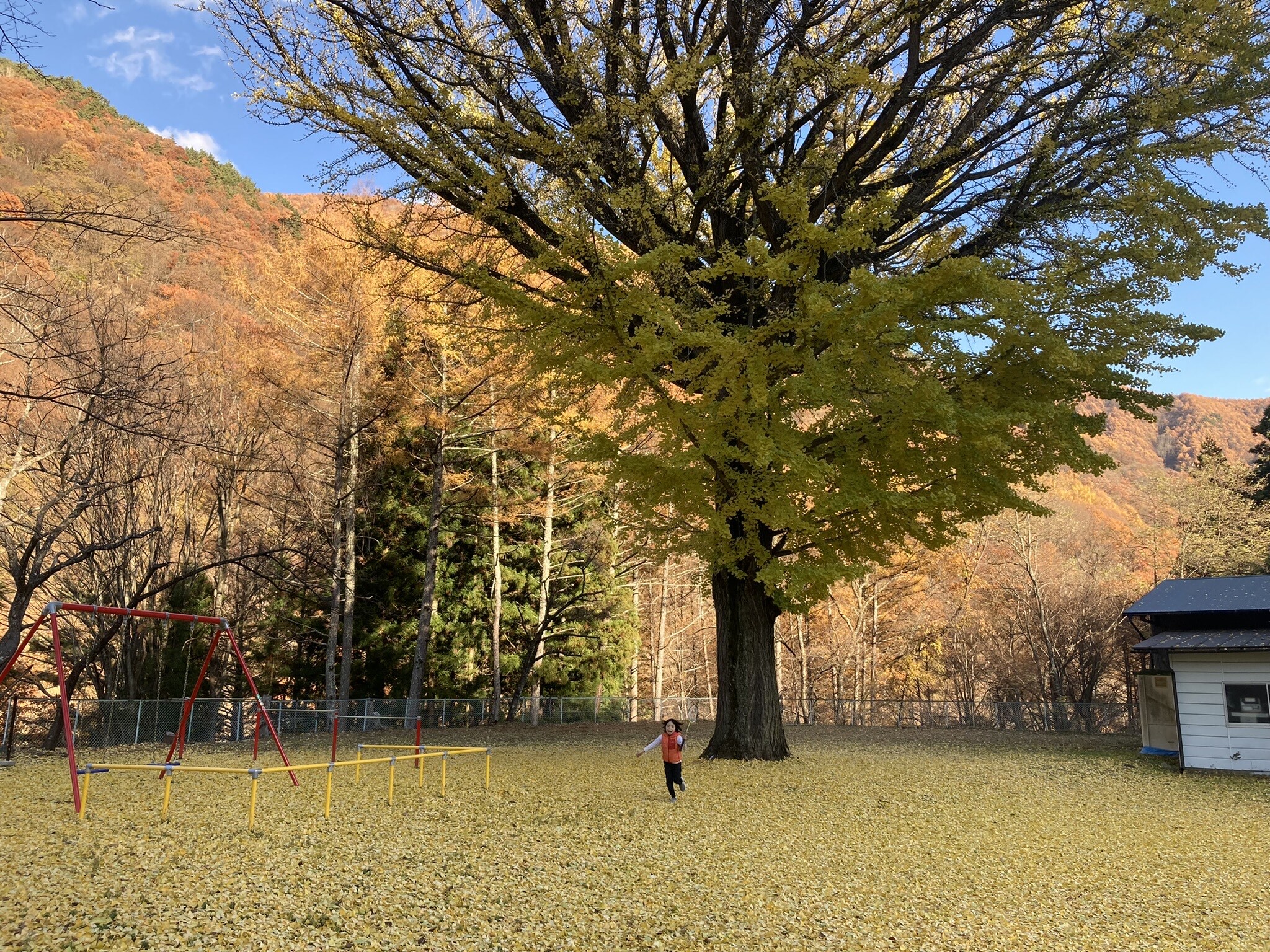 町会により整備された公園