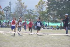 第65回島内地区大運動会の画像4