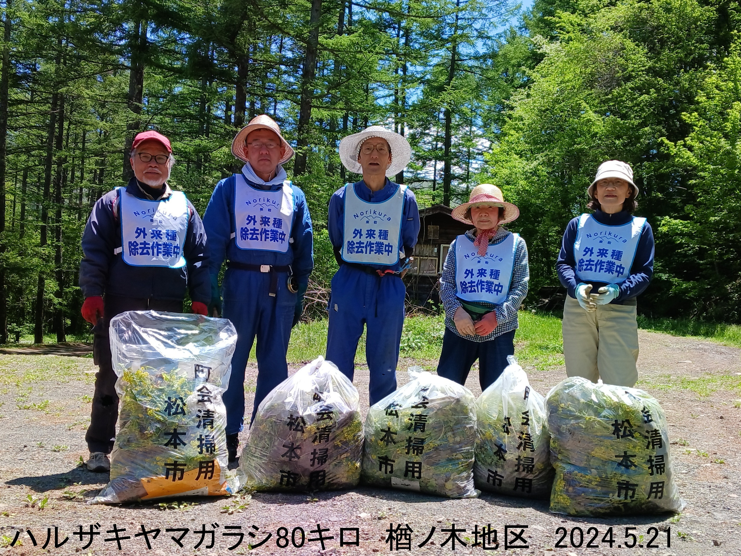 5月21日駆除活動の様子