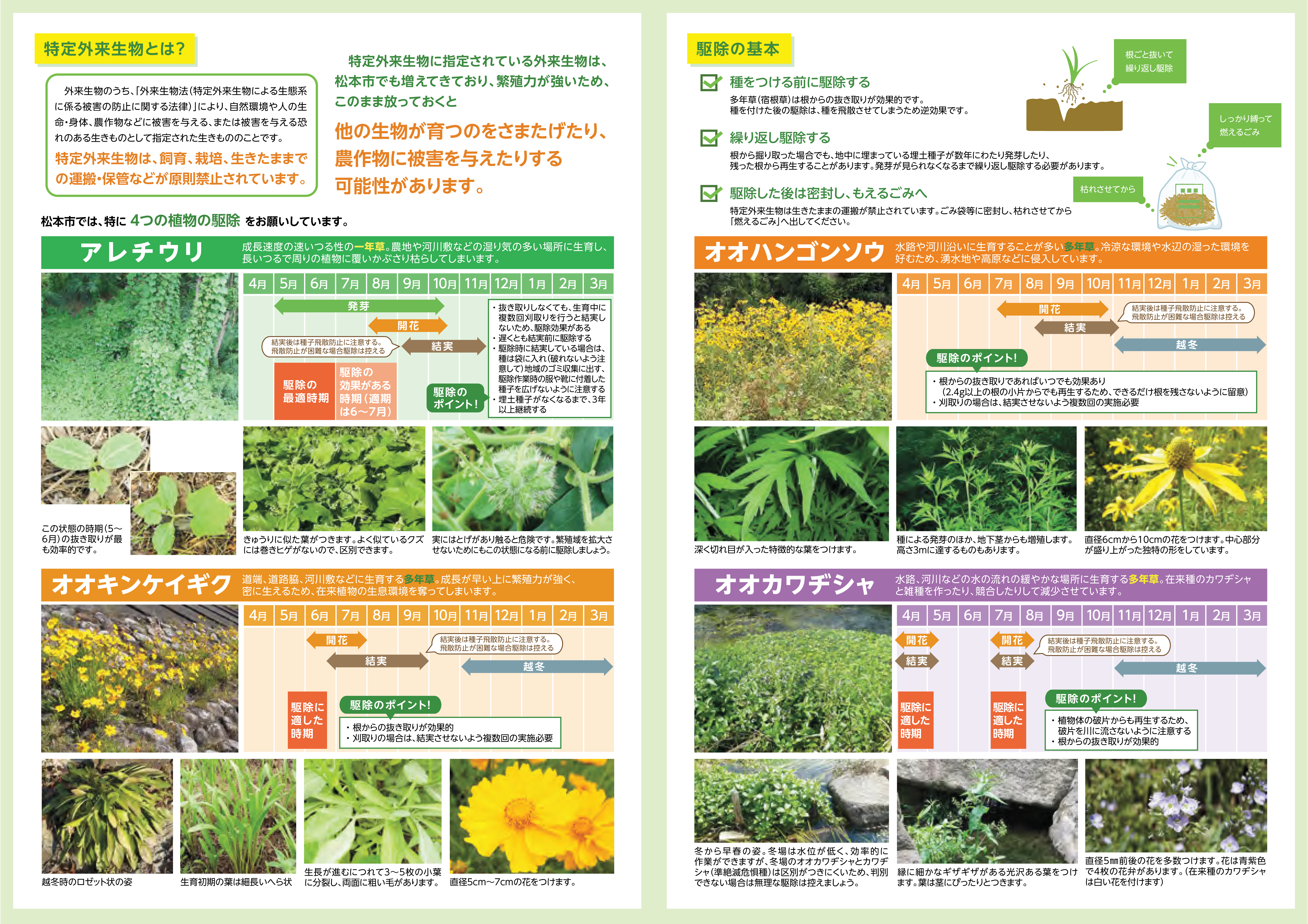 特定外来生物駆除チラシ