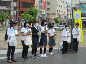 ヤング街頭キャンペーンガールスカウト