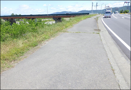 オオキンケイギク駆除後2