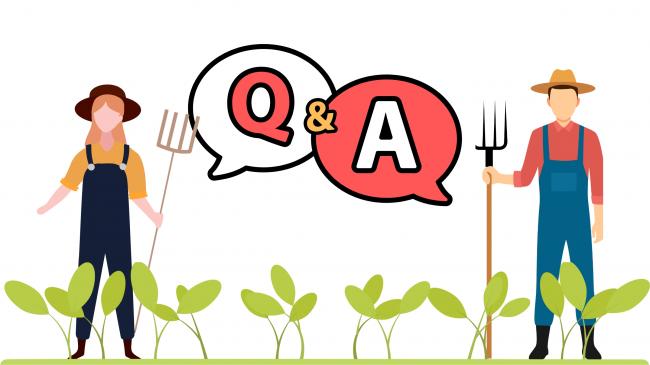 質問と回答の画像