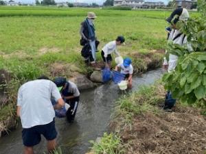 川に入り生きものを捕獲する参加者