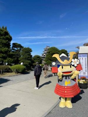 甲冑アルプちゃん