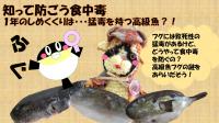 フグ食中毒予防