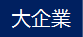 大企業