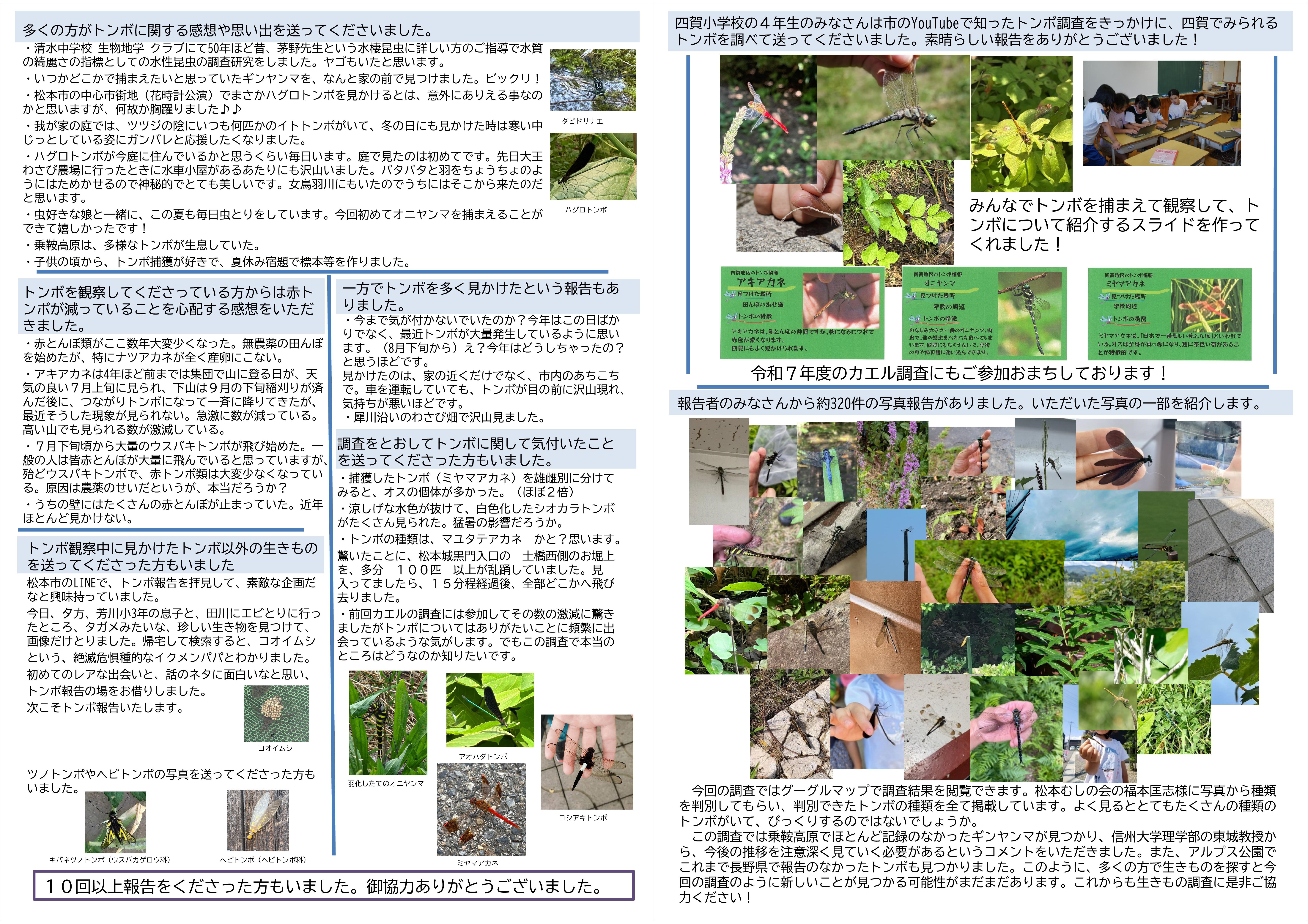トンボ調査まとめ2