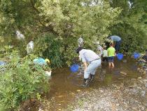 川に入りいきものを探す参加者