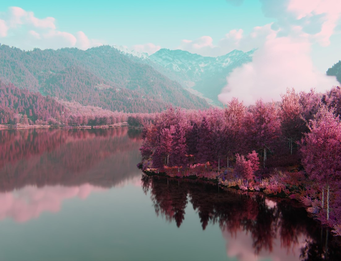 最優秀賞「薄紅の上高地」　長崎悠さん