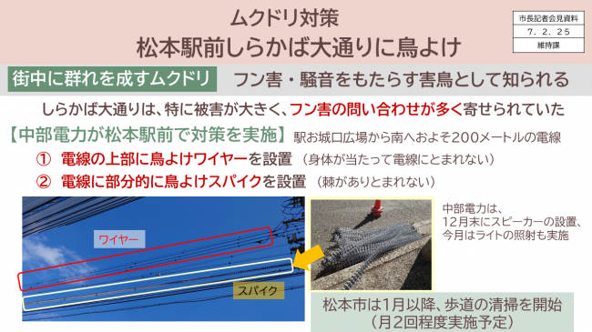 資料８　ムクドリ対策　松本駅前しらかば大通りに鳥よけ