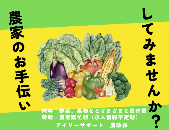 デイリーサポートチラシ