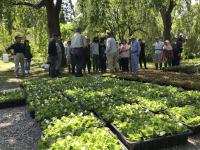 三溝フラワーゾーン1