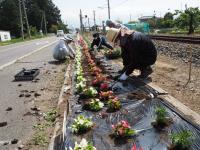 三溝フラワーゾーン2