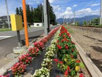 三溝フラワーゾーン