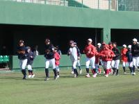 走っている様子