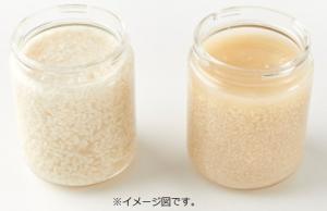 塩こうじイメージ