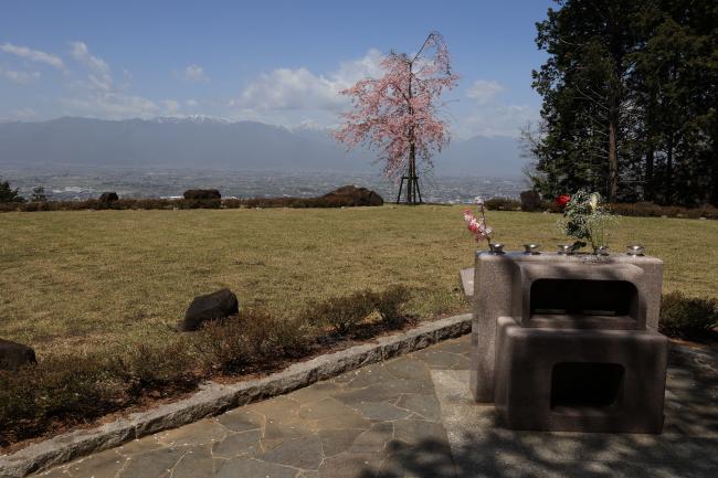 樹木式埋蔵場所写真