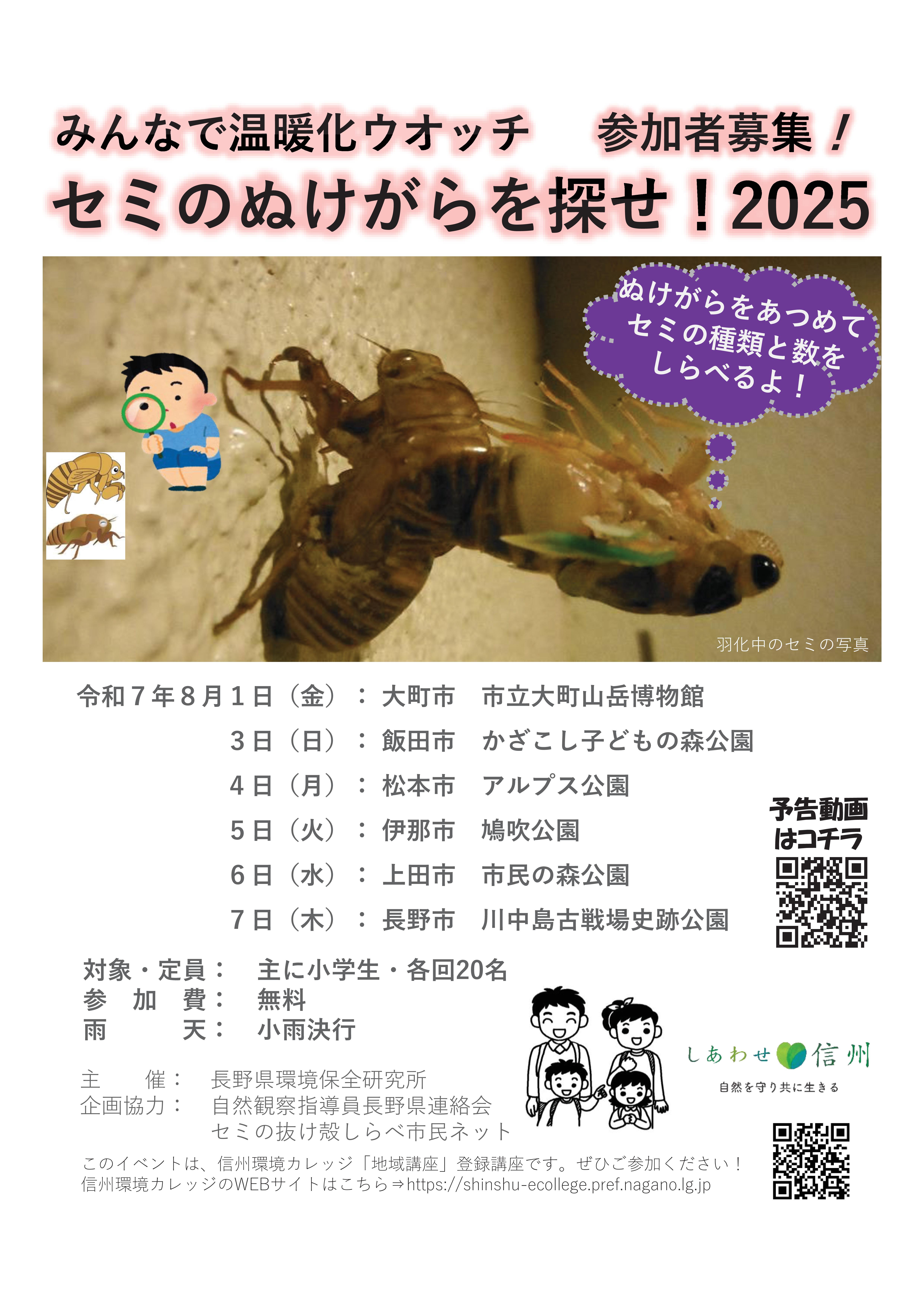 セミの抜け殻をさがせ!