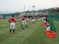 バッティングの様子