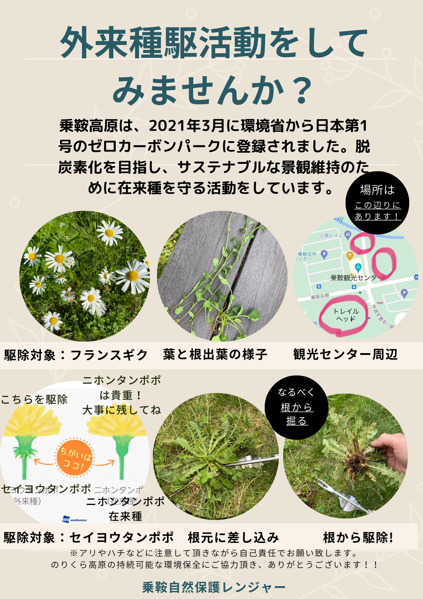 外来種駆除活動をしてみませんか？