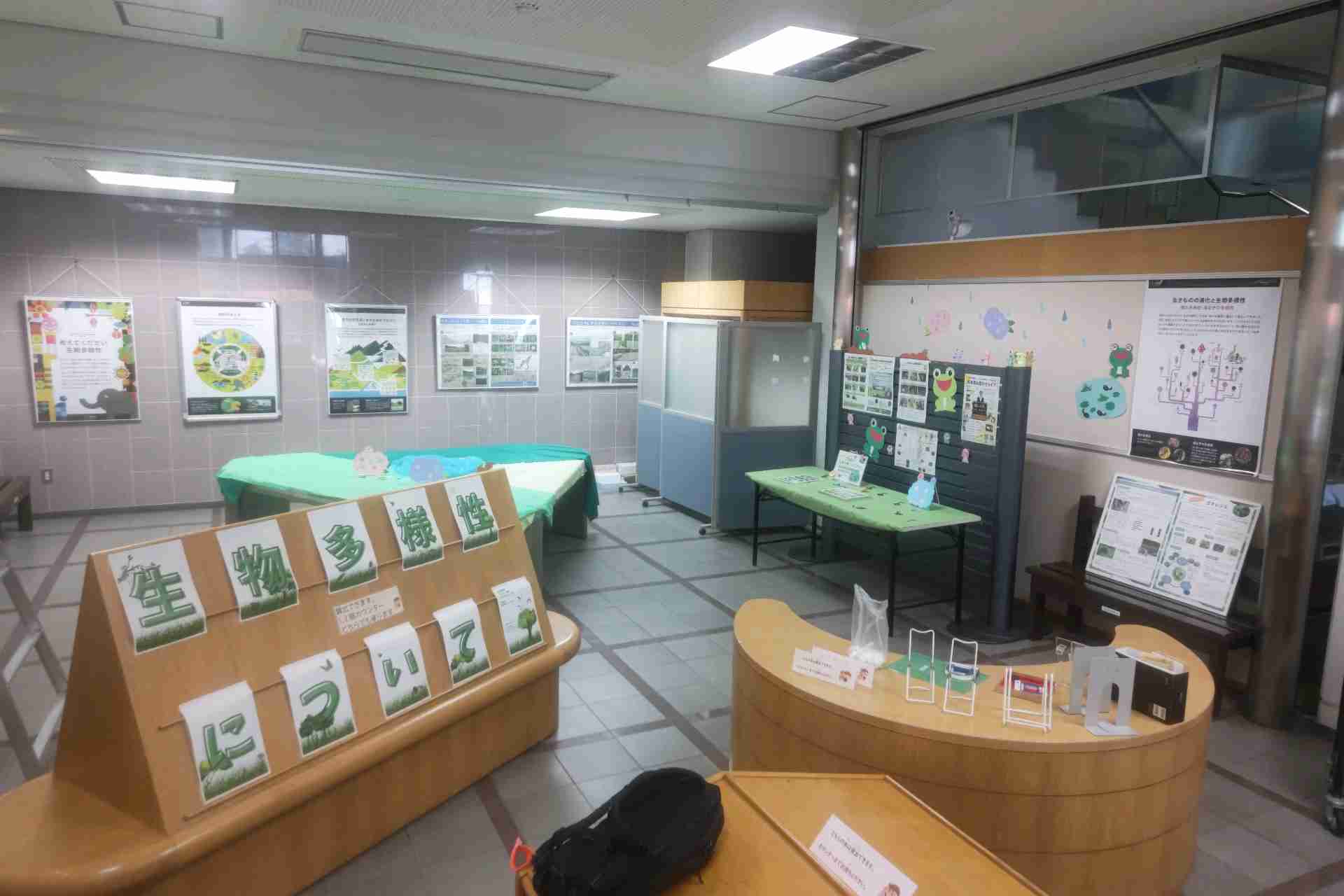 令和7年展示