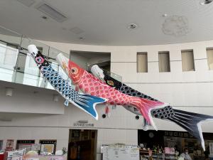 鯉のぼり展示