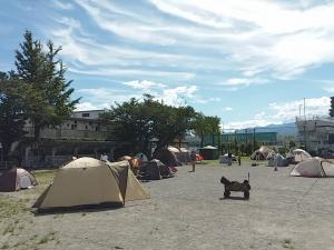 校庭にテント