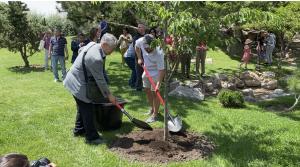 両議長による植樹