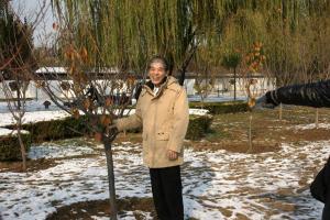 10年前に自ら植樹した桜の成長を確かめる菅谷市長