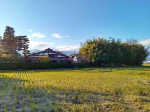 屋敷の四方を囲む生垣・匠の技の伝承写真