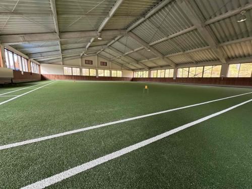 人工芝完成写真