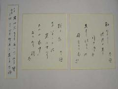色紙と短冊